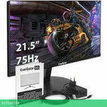 Монитор ExeGate SmartView EP2207A EX295590RUS