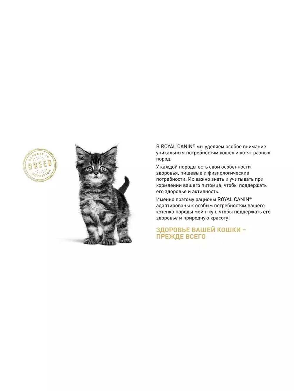 ROYAL CANIN Maine Coon Kitten (Роял Канин Мейкун Киттен) корм сухой для кошек 14 кг.
