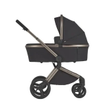 Коляска 2 в 1 ANEX Flo #1