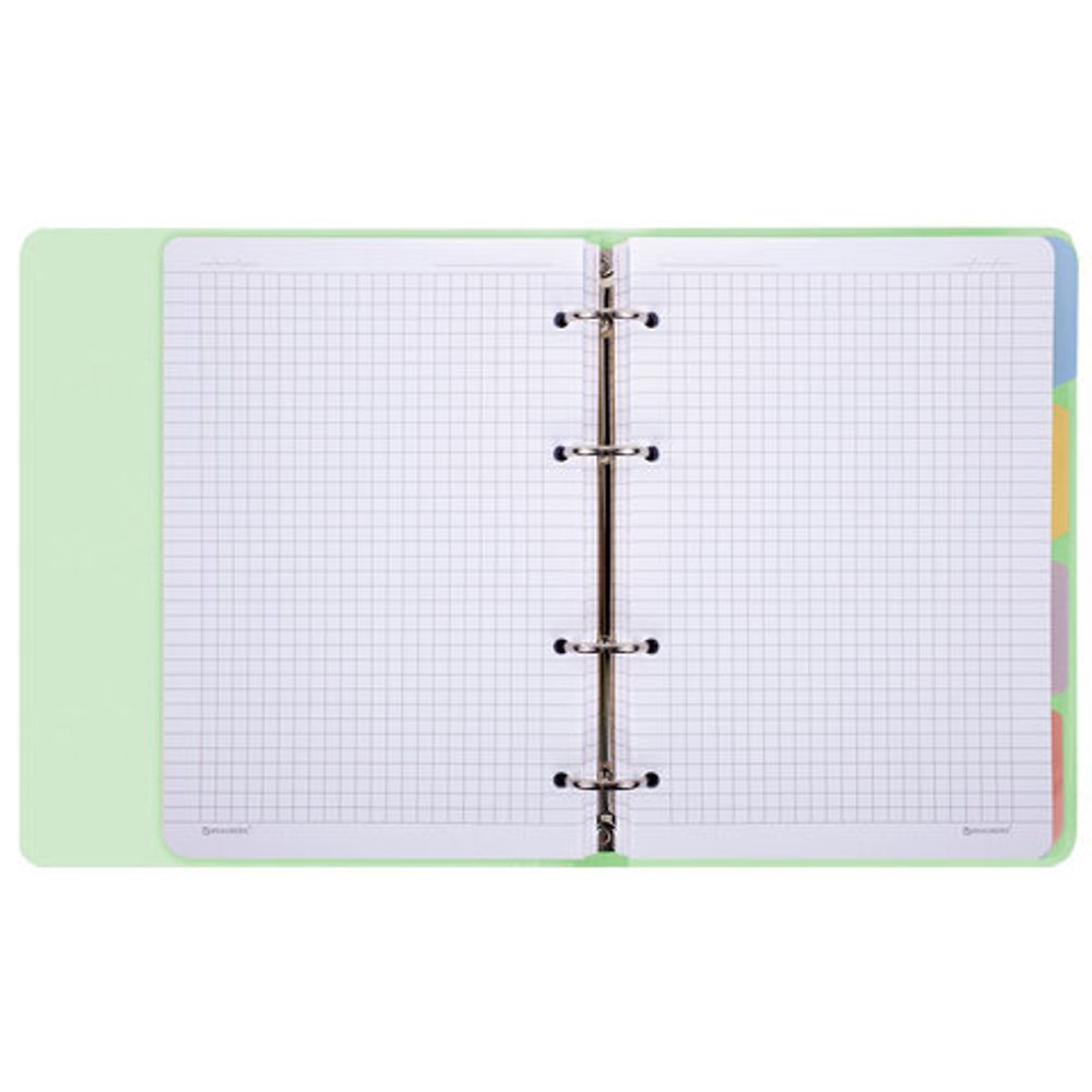 Тетрадь на кольцах А5 175х220 мм, 120 л., пластик, с резинкой и разделителями, BRAUBERG, Зеленый, 404632