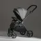 Коляска ANEX iQ 2 в 1 Loft