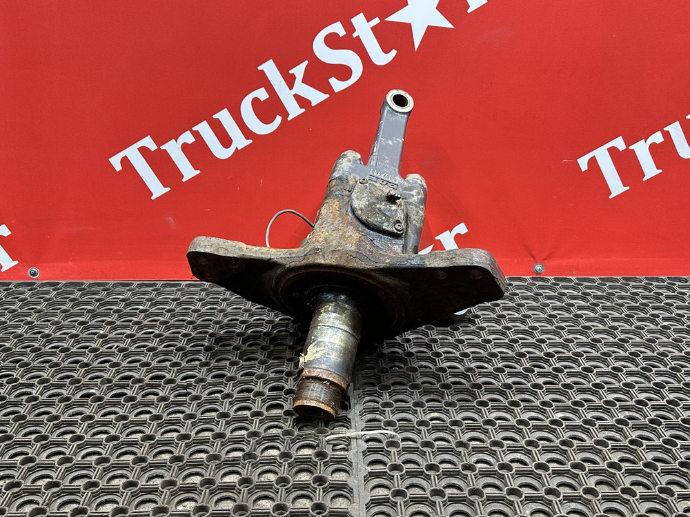 Кулак поворотный левый