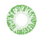 Контактные линзы OKVISION Fusion Color (цветные)