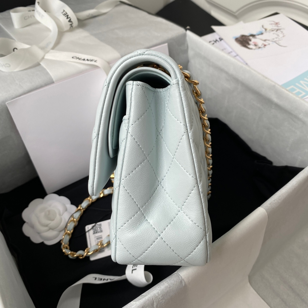 Chane1 Classic Flap Bag 25 cm