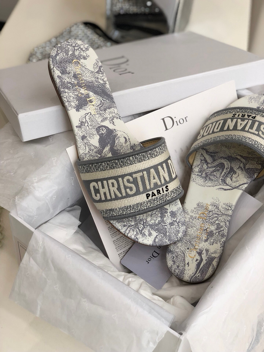 Christian Dior Dway Slide