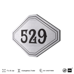 Номерок на дверь квартиры 529, для кабинета, офиса, шильдик 9 х 7 см, серебристый, Айдентика Технолоджи