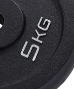 Диск чугунный STARFIT BB-204 d=26 мм, черный, 5 кг