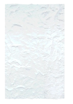 Декоративная панель Rk015-1-C/2.9