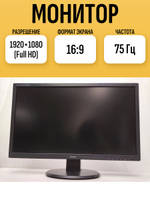 Монитор iiyama PL2483HS. Товар уцененный
