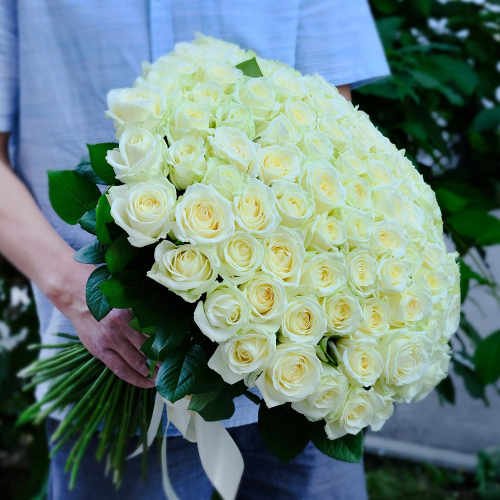 Купить Розы белые Avalanche от 7шт