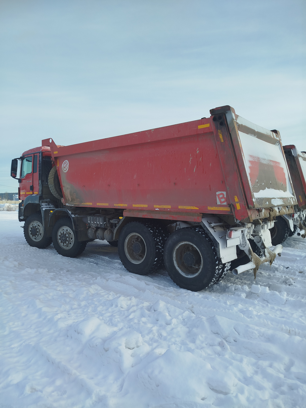 MAN TGS 8x8 Самосвал БЦМ-59 	(Дизельный, 12,4 л, 480 л.с., АТ)