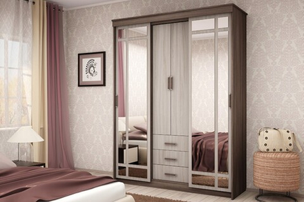 Шкаф-купе Фиеста-2