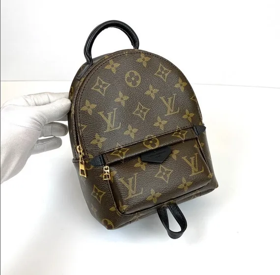 Рюкзак Louis Vuitton Palm Springs PM коричневый