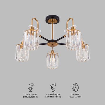 70090/5 / потолочный светильник / черный Smart