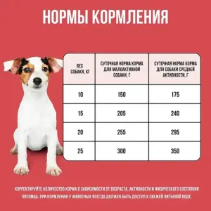 Сухой корм BOWL WOW для собак средних пород с индейкой, курицей, рисом и свеклой 