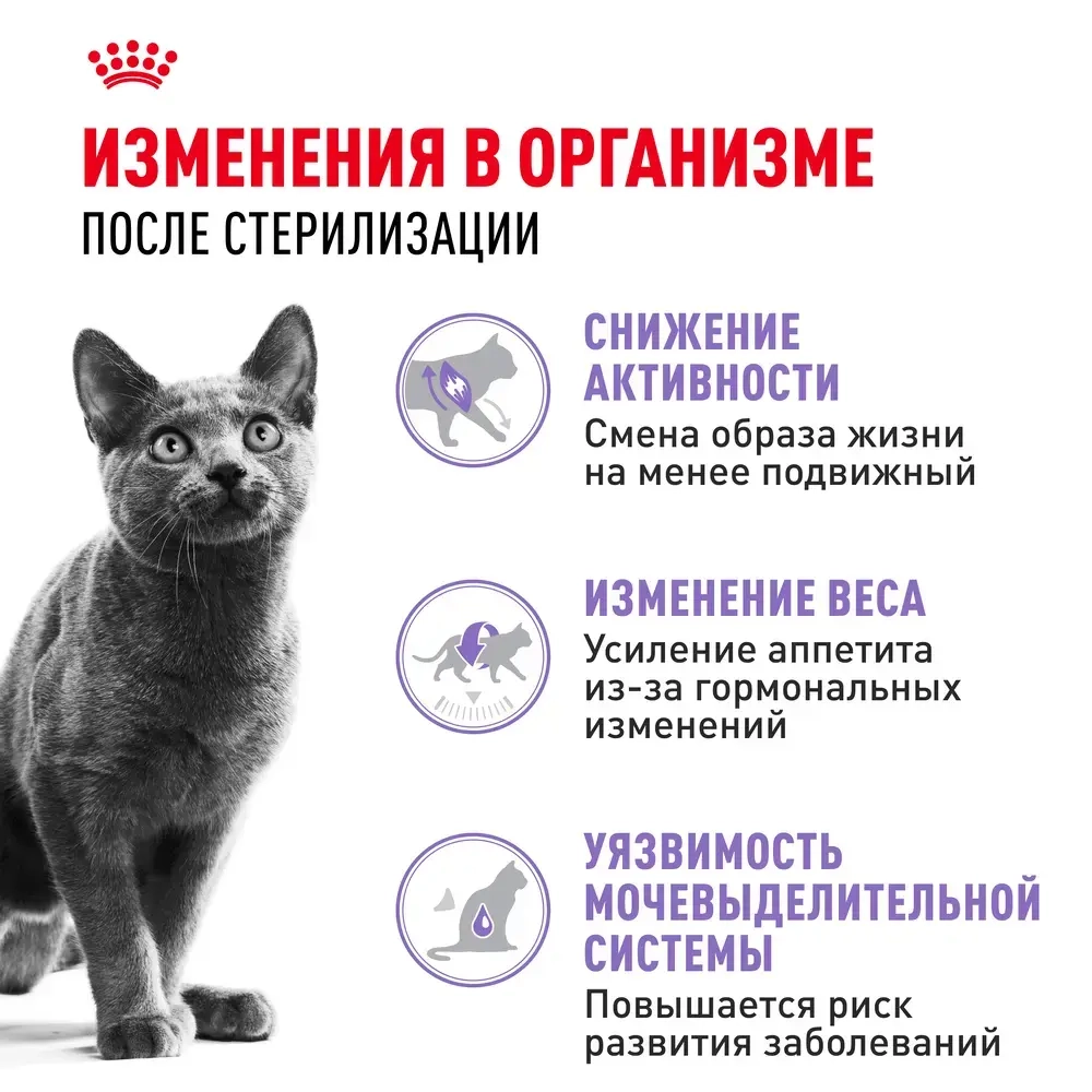 Корм Royal Canin Sterilised 37 для стерилизованных кошек, живущих в помещении, 2кг
