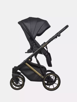 Коляска MONTANA PREMIUM (2 в 1) (RIKO BASIC)