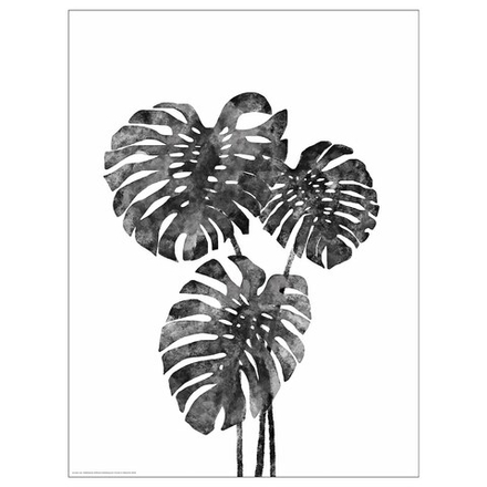 IKEA BILD  (ИКЕА БИЛД)  -  Постер, Monstera, 30x40 см