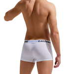 Мужские трусы-боксеры Gauvine (Размер: M) (Цвет: черный)