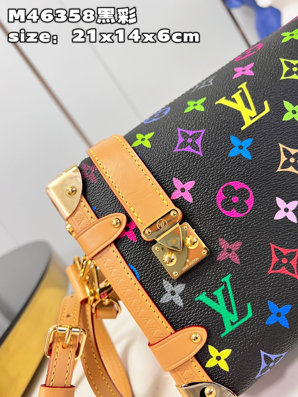 Louis Vuitton Side Trunk