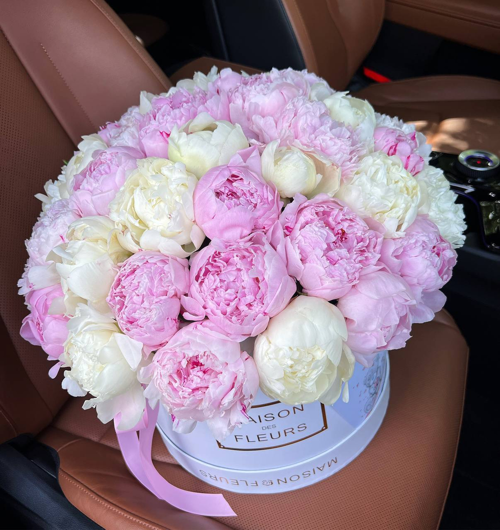 Композиция из 51 пиона в белой подарочной коробке "Maison des fleur"