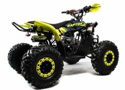 Квадроцикл MOTOLAND 125 Raptor