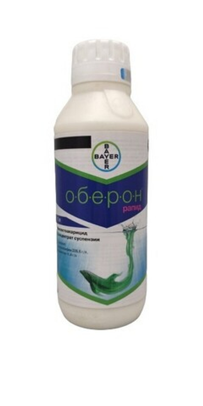 Оберон Рапид,КС