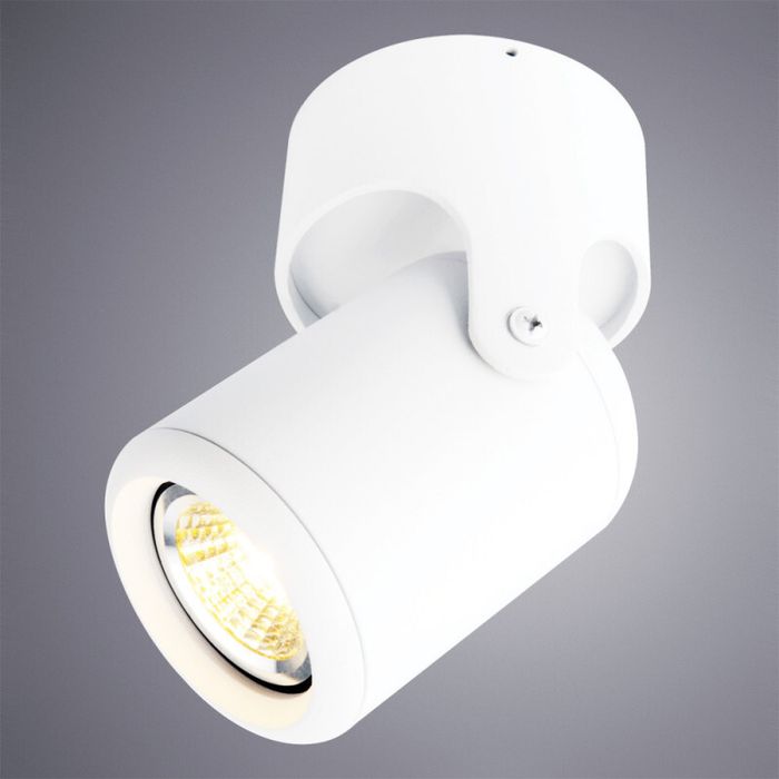 Накладной светильник Arte Lamp A3316PL-1WH