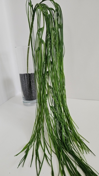 Рипсалис нитевидный / Арт 4329