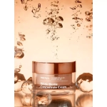 Manyo Bifida Biome Concentrate Cream 50ml