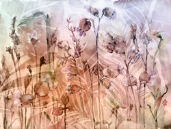 Коллекция AQUARELLE