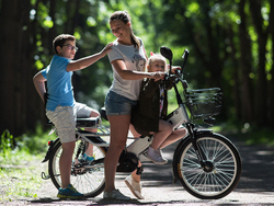 Электровелосипед Green City e-ALFA GL с термобоксом