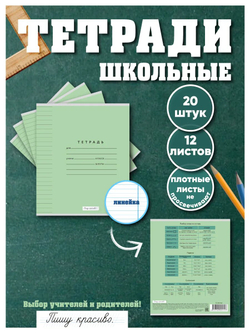 Набор тетрадей в линию (падежи), 12 л, зелёная обложка, 20 шт