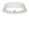 Потолочный светильник FR10013CL-L24W Элементы 24 Вт LED Freya fr10013cl-l24w