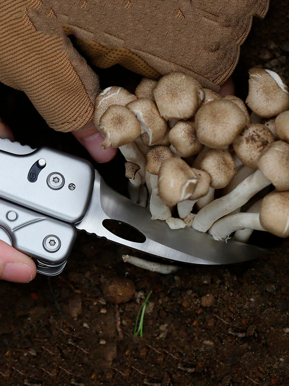 Сменные лезвия Roxon для ножа, комплект BA050607