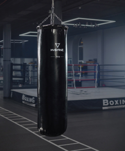 Мешок боксерский INSANE PRO PUNCH, 170 см, 70 кг, тент, черный