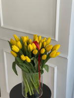 АКЦИЯ тюльпан - классика ЖЕЛТЫЙ