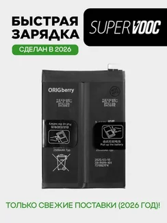 Аккумулятор для OnePlus 10 Pro 5000 mAh (BLP899) ORIGberry