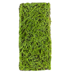 Панель искусственная с мюленбекией и мхом на веточках 40Х90 см.