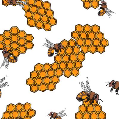 Соты и пчёлы дизайн SIcolor