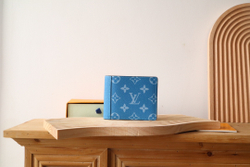Louis Vuitton Multiple Wallet
