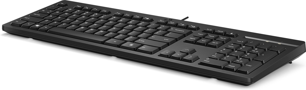 Клавиатура HP 266C9A6 черный