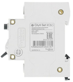 Автомат дифференциальный Systeme Electric C9D51625