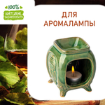 Бренди с фруктами, отдушка для свечей и мыла