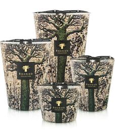 Kani, свеча MAX 35 Sacred Trees collection, Baobab Collection