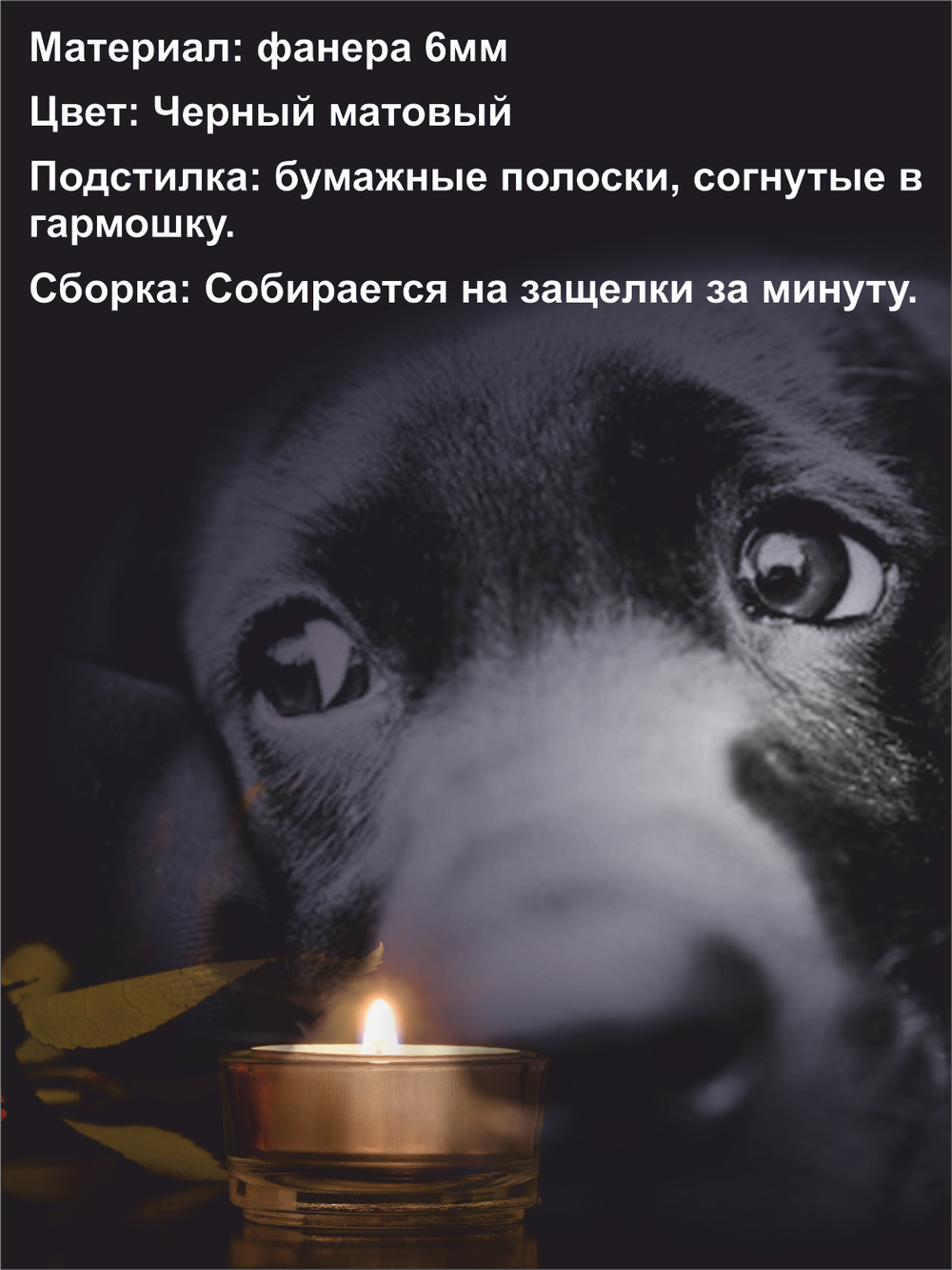 Гроб для собаки