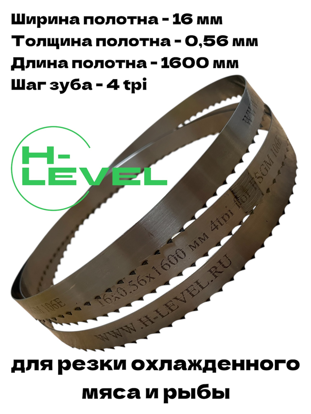 Полотно ленточное для резки мяса 16х0,56х1600 мм 4 tpi для пилы FAMA FSGM 106E