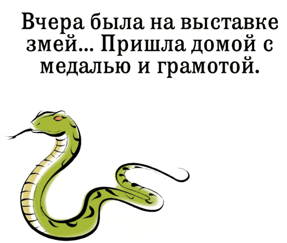 ЗМЕЙКА С НАДПИСЯМИ - Термотрансфер 15х17см (1229 Евгения)