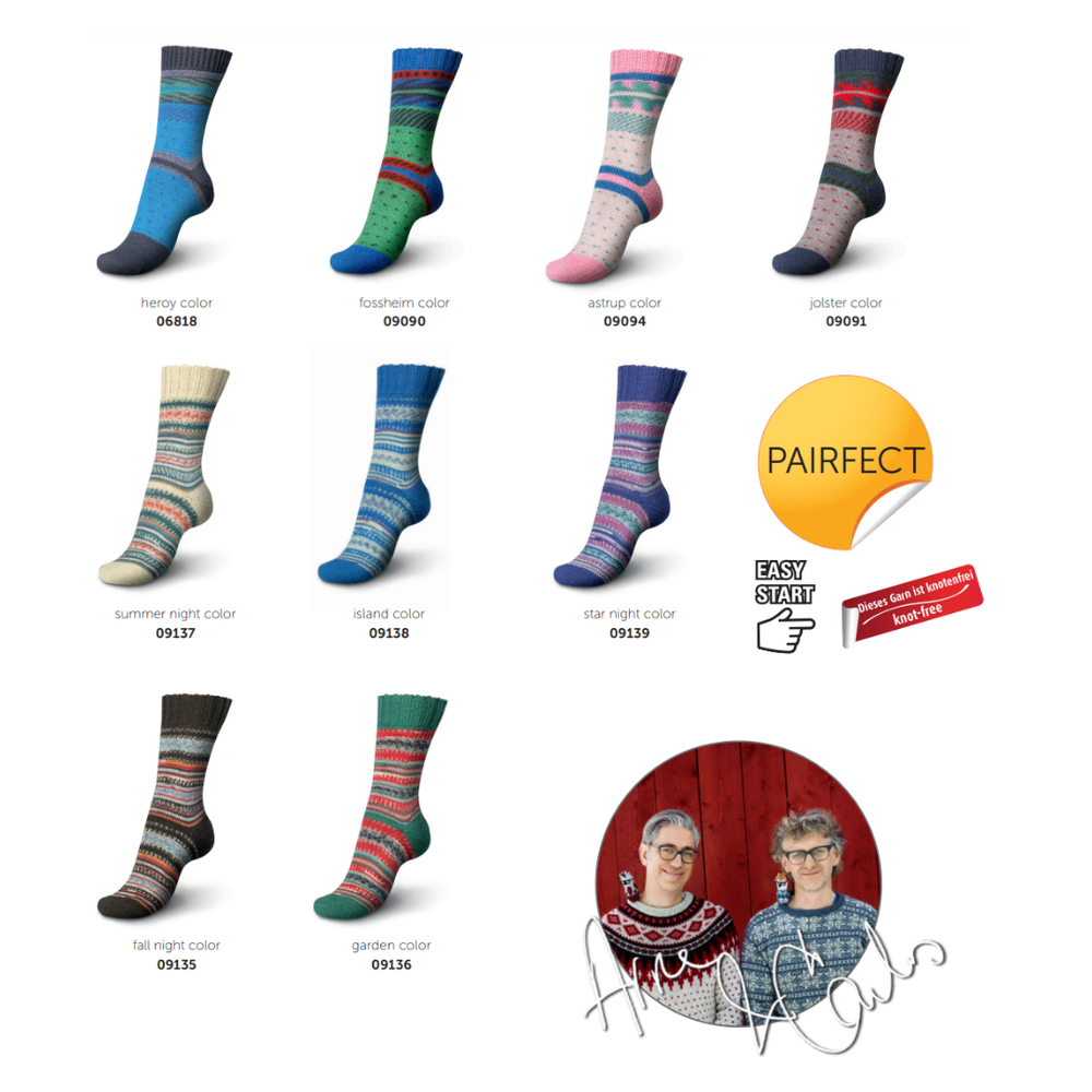 Regia Design Line PAIRFECT 4 ply - 09135 (fall night color color)