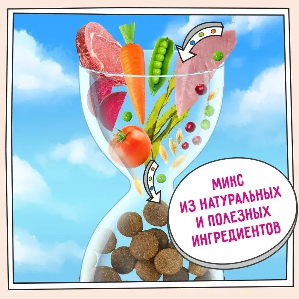 Сухой корм для собак ZILLII (Зилли) Dog Adult Large Breed 3кг индейка и ягненок для крупных пород